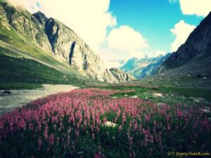 Manali Deo Tibba Base Camp Trek